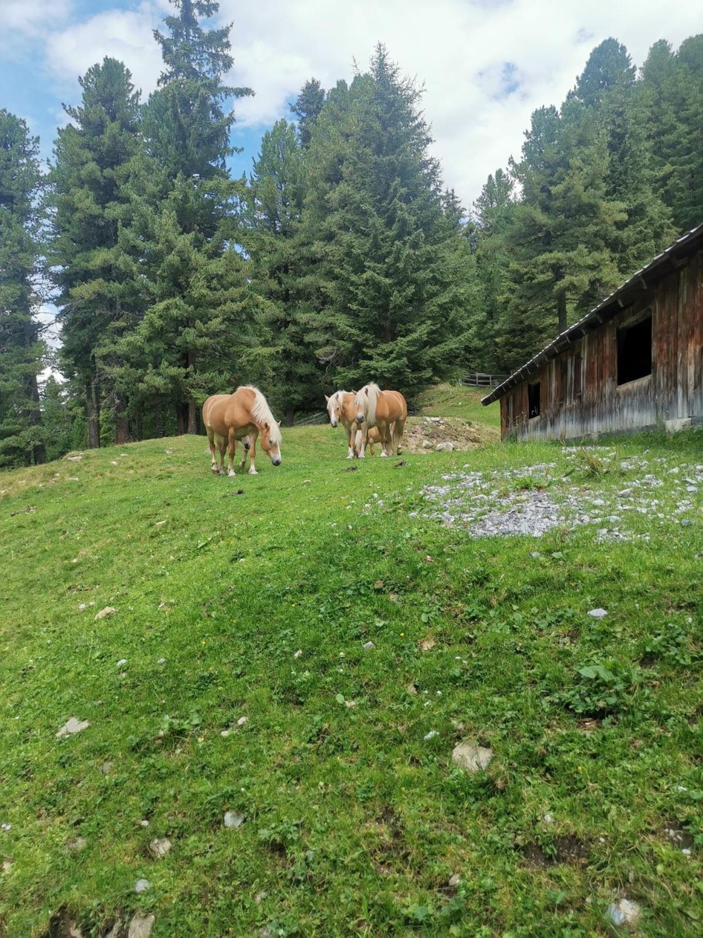 Pitztal Living Aparthotel Jerzens Luaran gambar
